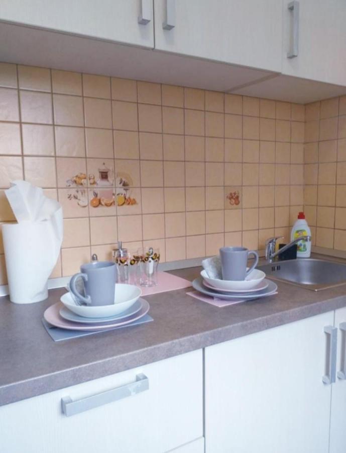 Epic Apartment Timisoara Ngoại thất bức ảnh